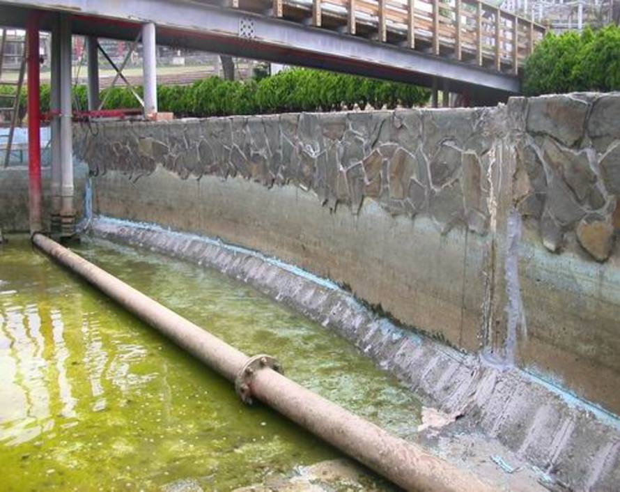 台中裕成-亞哥花園水池防水工程